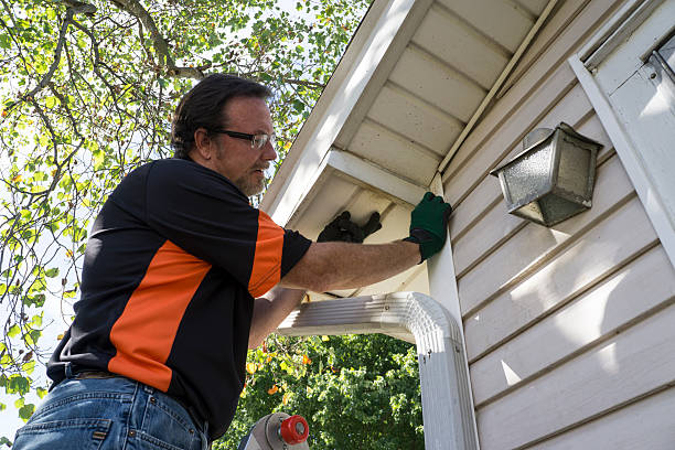 Best Insulated Siding Installation  in Auburn, CA